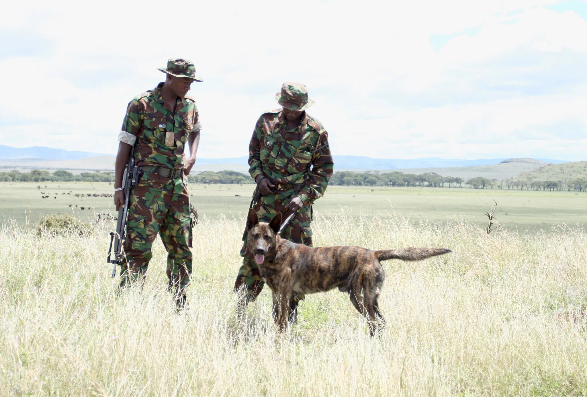 巡护员在草原上执行任务 - 四虎 | 荒野守护